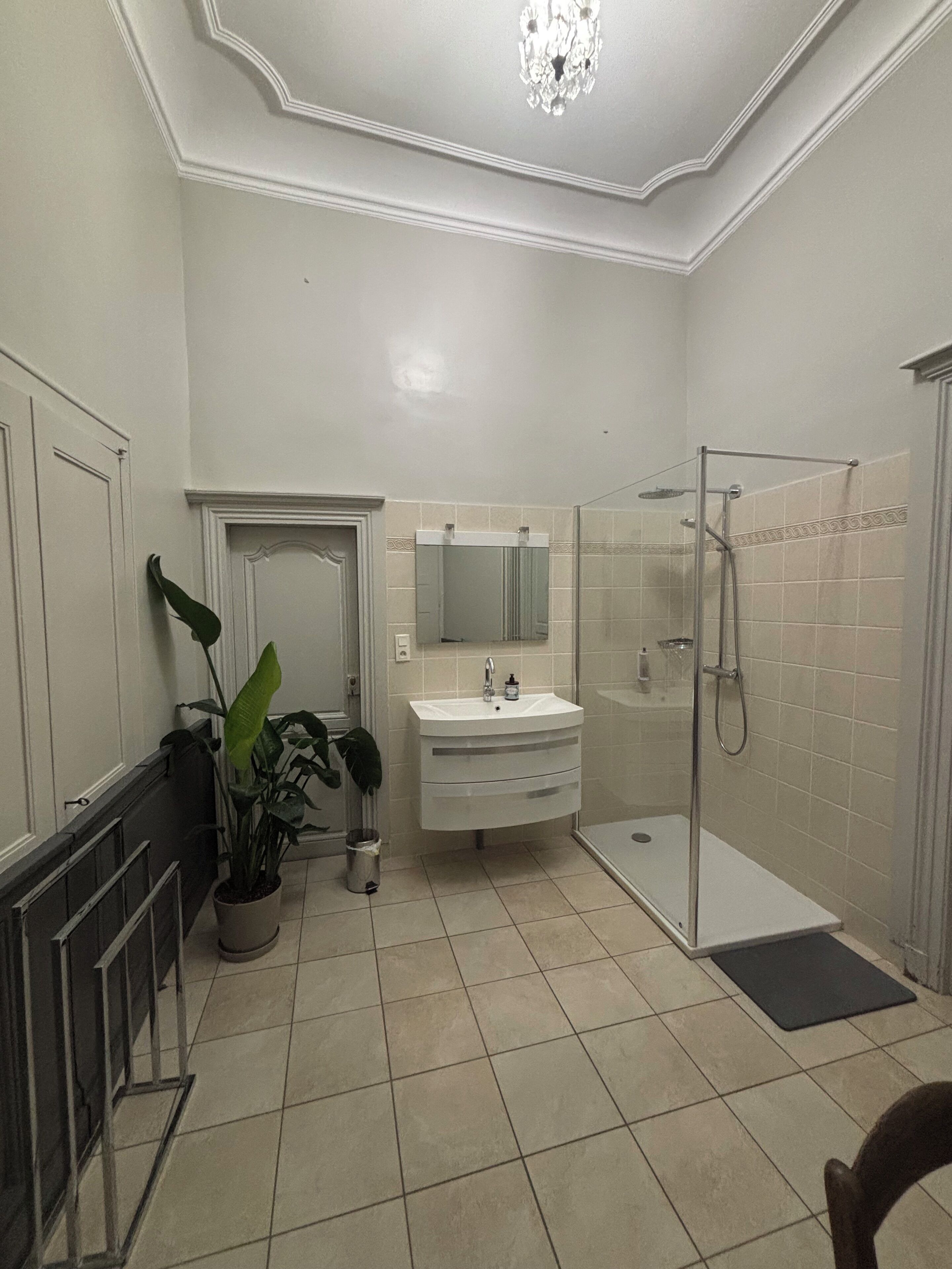 Een badkamer met een witte wasbak, spiegel en douche. Links staat een potplant en een radiator.
