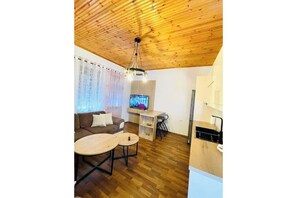 Flat-screen TV