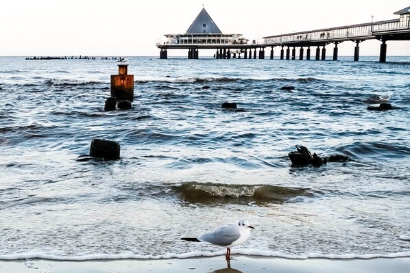 Escena costera con muelle, una estructura parecida a un faro y una gaviota en la orilla.