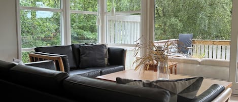 TV, fireplace, stereo