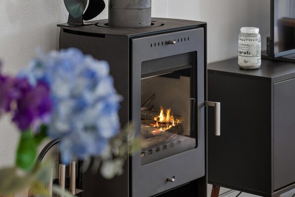 A modern wood-burning stove with a glass door, a metal handle, and a jar on top.