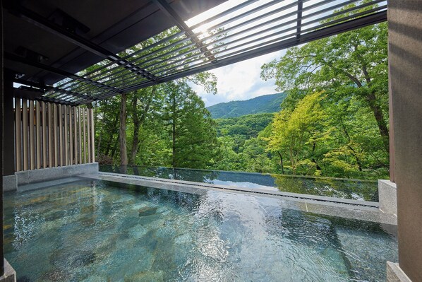 Sauna, hot tub, steam room, hot springs