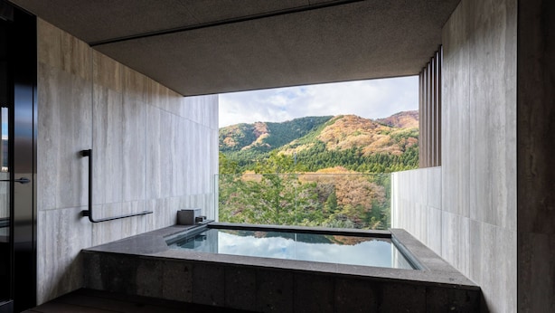 Ein modernes Badezimmer mit einer Glaskuppel um ein Whirlbad, mit Blick auf eine Berglandschaft.