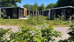 Eine Reihe moderner, eingeschossiger Blockhütten mit großen Fenstern, umgeben von üppiger Vegetation und Bäumen.