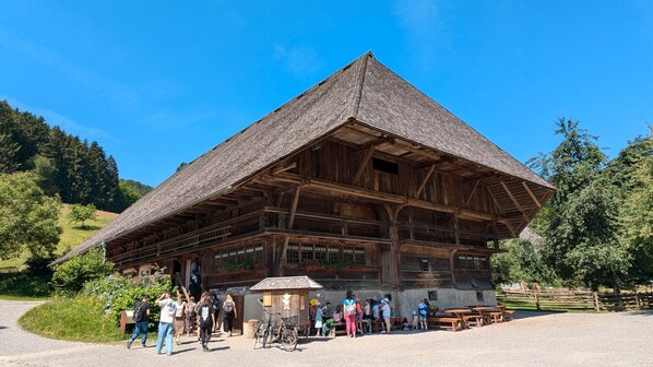 Exterior - Apartment 'Bannstein Lahr' with Private Terrace, Shared Garden and Wi-Fi (Lahr/Schwarzwald)