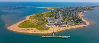 Stunning Victorian Estate with Lap Pool, Gardens and Huge Porch