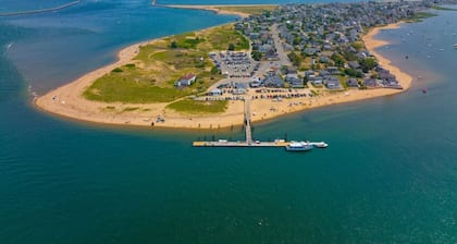 Stunning Victorian Estate with Lap Pool, Gardens and Huge Porch