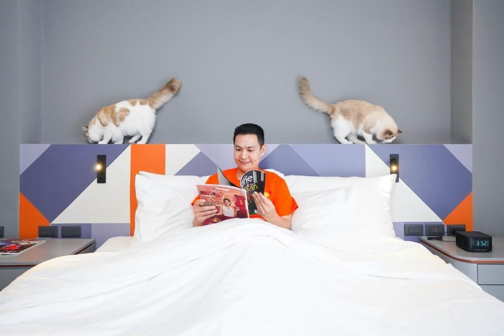 A person lying in bed reading a book with two cats on the headboard.