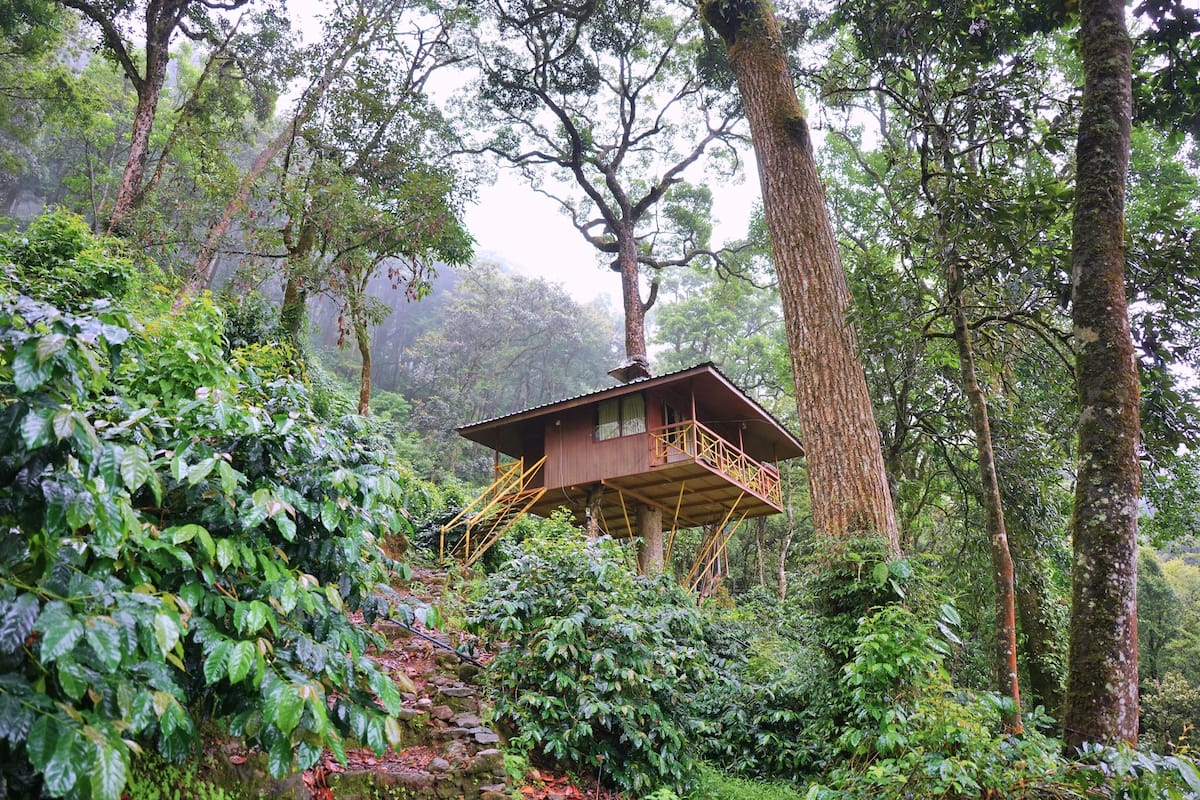 Casa Deluxe en un árbol, balcón, vistas a la montaña | Escritorio, camas supletorias, wifi gratis y ropa de cama
