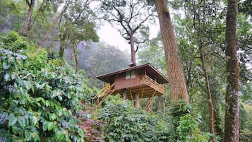 Deluxe Tree House, Balcony, Mountain View | Desk, rollaway beds, free WiFi, bed sheets