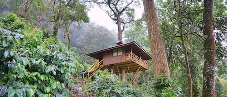 Tree House Deluxe, balcon, vue montagne