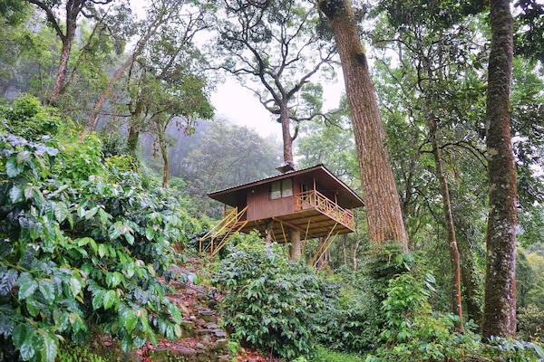 Casa Deluxe en un árbol, balcón, vistas a la montaña | Escritorio, camas supletorias, wifi gratis y ropa de cama