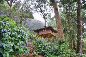 Casa Deluxe en un árbol, balcón, vistas a la montaña | Escritorio, sistema de insonorización, camas supletorias y wifi gratis