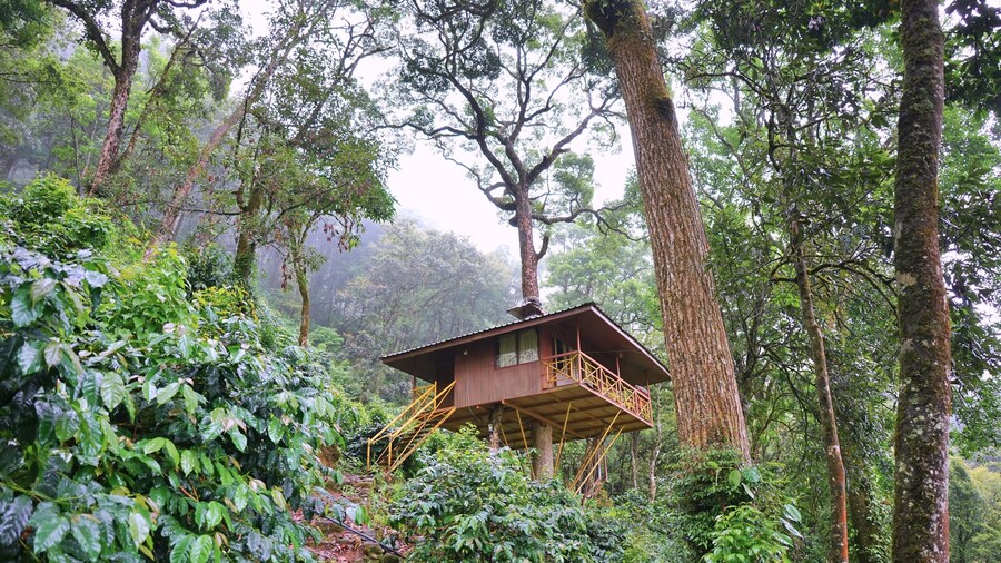 Seven Springs Plantation Resort