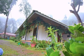 บริเวณภายนอก