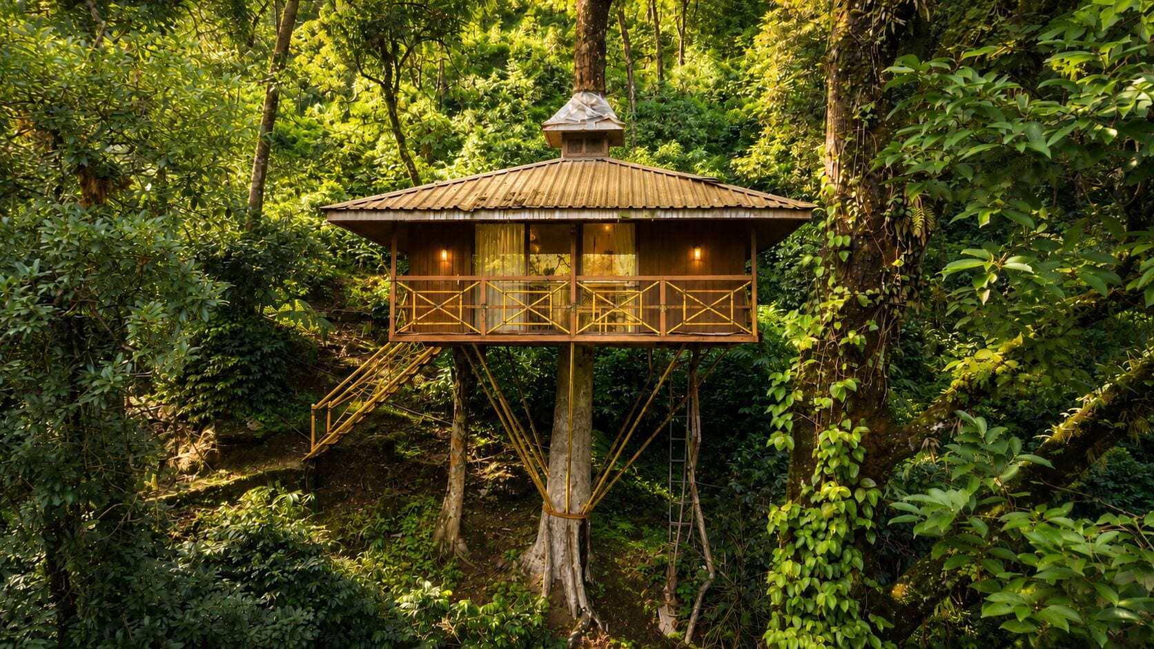 Estructura de casa en árbol con plataforma de madera y barandilla metálica, rodeada de un bosque denso.