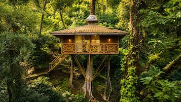 Estructura de casa en árbol con plataforma de madera y barandilla metálica, rodeada de un bosque denso.