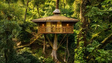 Une cabane perchée dans un arbre, dotée d’une plateforme en bois et d’une rambarde en métal, entourée d’une forêt dense.