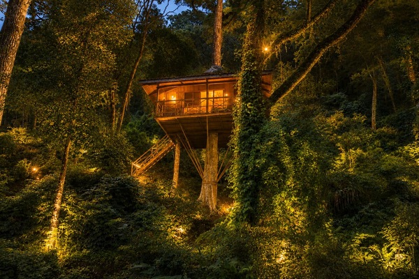 Casa Deluxe en un árbol, balcón, vistas a la montaña | Escritorio, sistema de insonorización, camas supletorias y wifi gratis