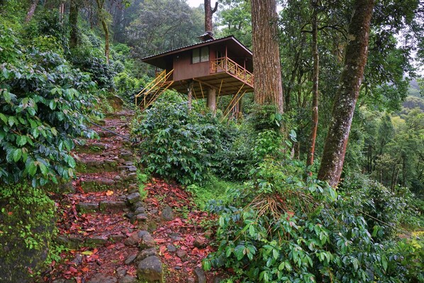 华丽树屋, 阳台, 山景 | 办公桌、折叠床/加床（额外收费）、免费 WiFi、床单