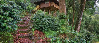 Seven Springs Plantation Resort