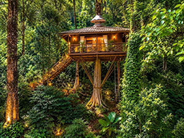 A treehouse with a wooden deck and a staircase, surrounded by dense forest. - Soma Seven Springs (Devikolam)