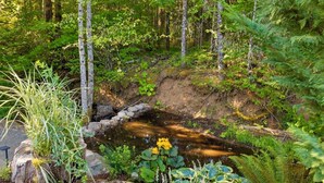 A natural outdoor setting with a small stream, surrounded by dense greenery and trees. - 6.5 acres all to yourself! Dog-Friendly Creekside Home w/ Hot Tub, Game Room. 15 minutes to town (White Salmon)