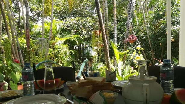 An outdoor dining area with a table set for breakfast, including plates, cups, and a teapot, surrounded by lush greenery. - Velvet Paradise (Dambulla)