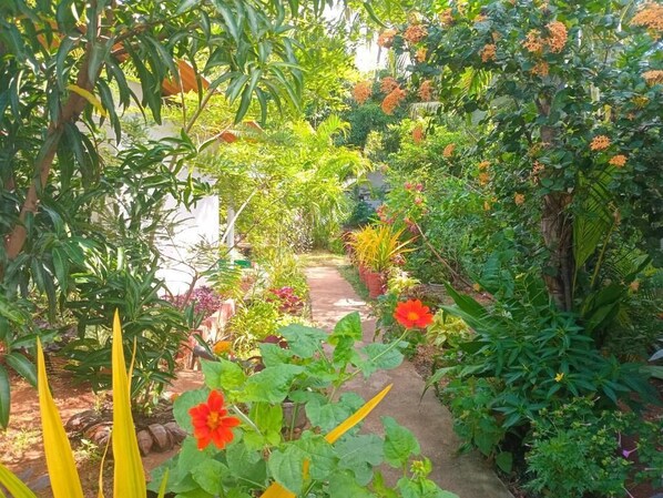 บริเวณภายนอก