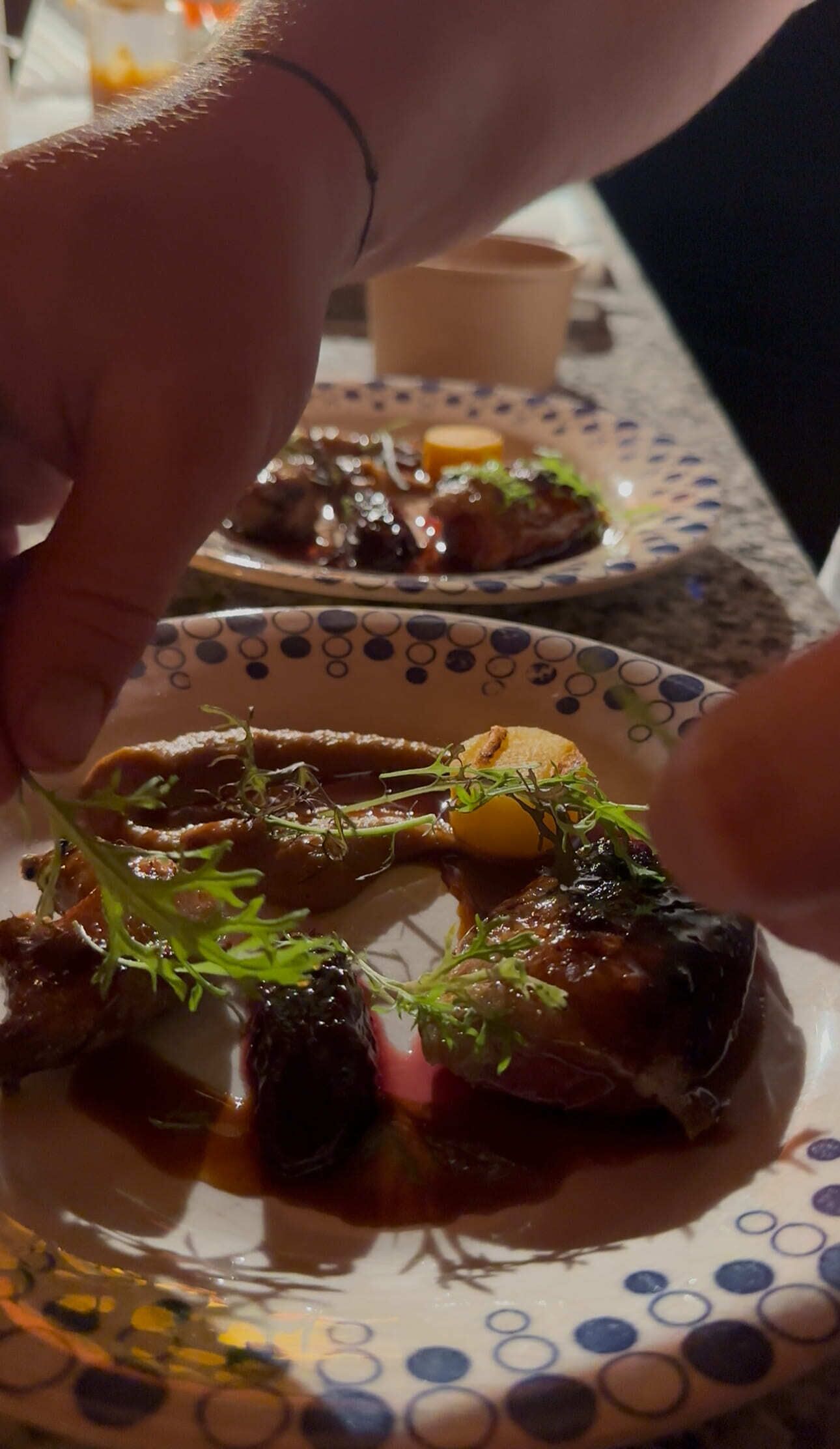 Une vue rapprochée d’un plat contenant de la viande et des légumes, présenté sur une assiette à motifs.