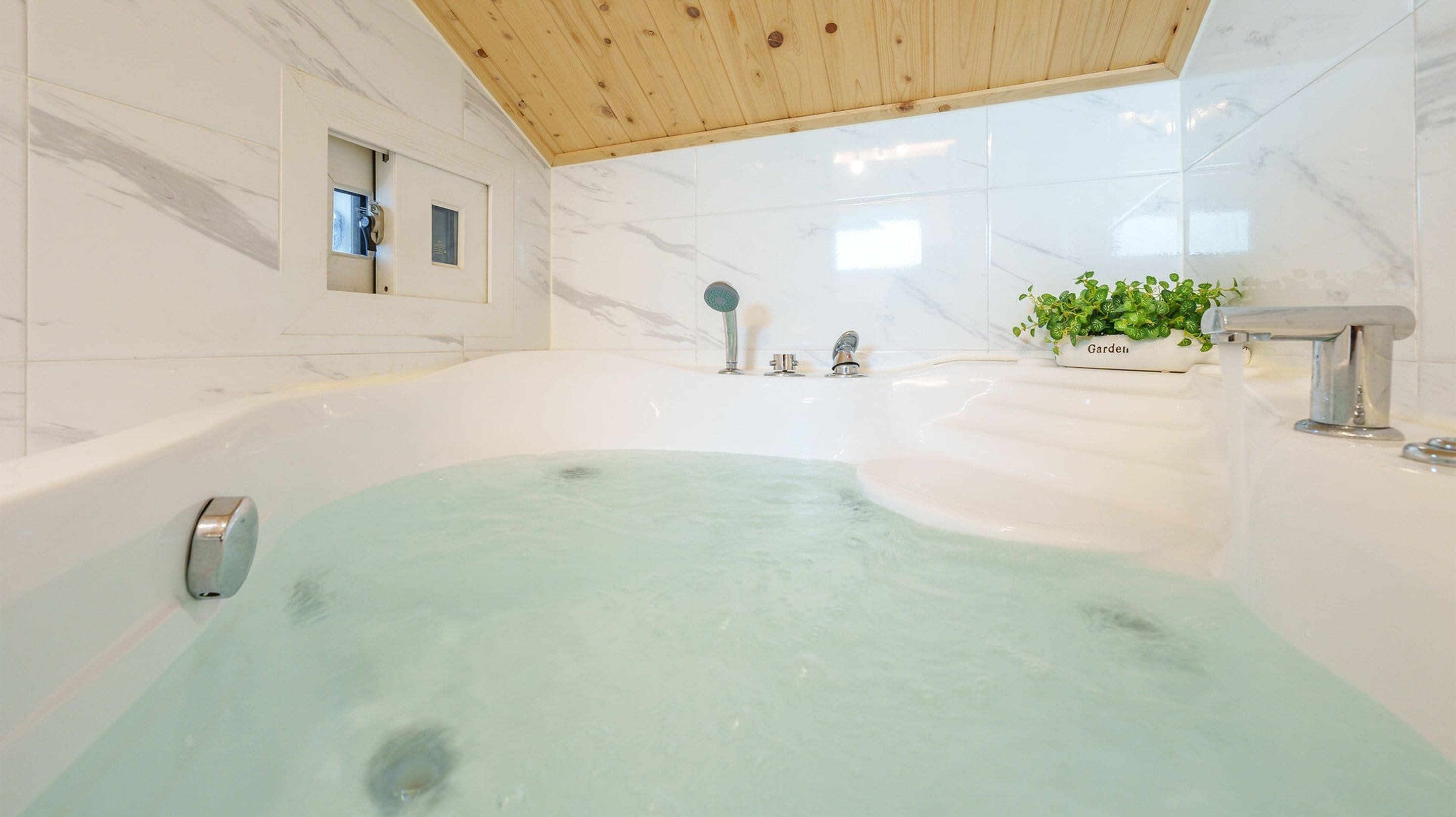 A modern bathroom with a large bathtub, a shower area, and a potted plant on the sink.