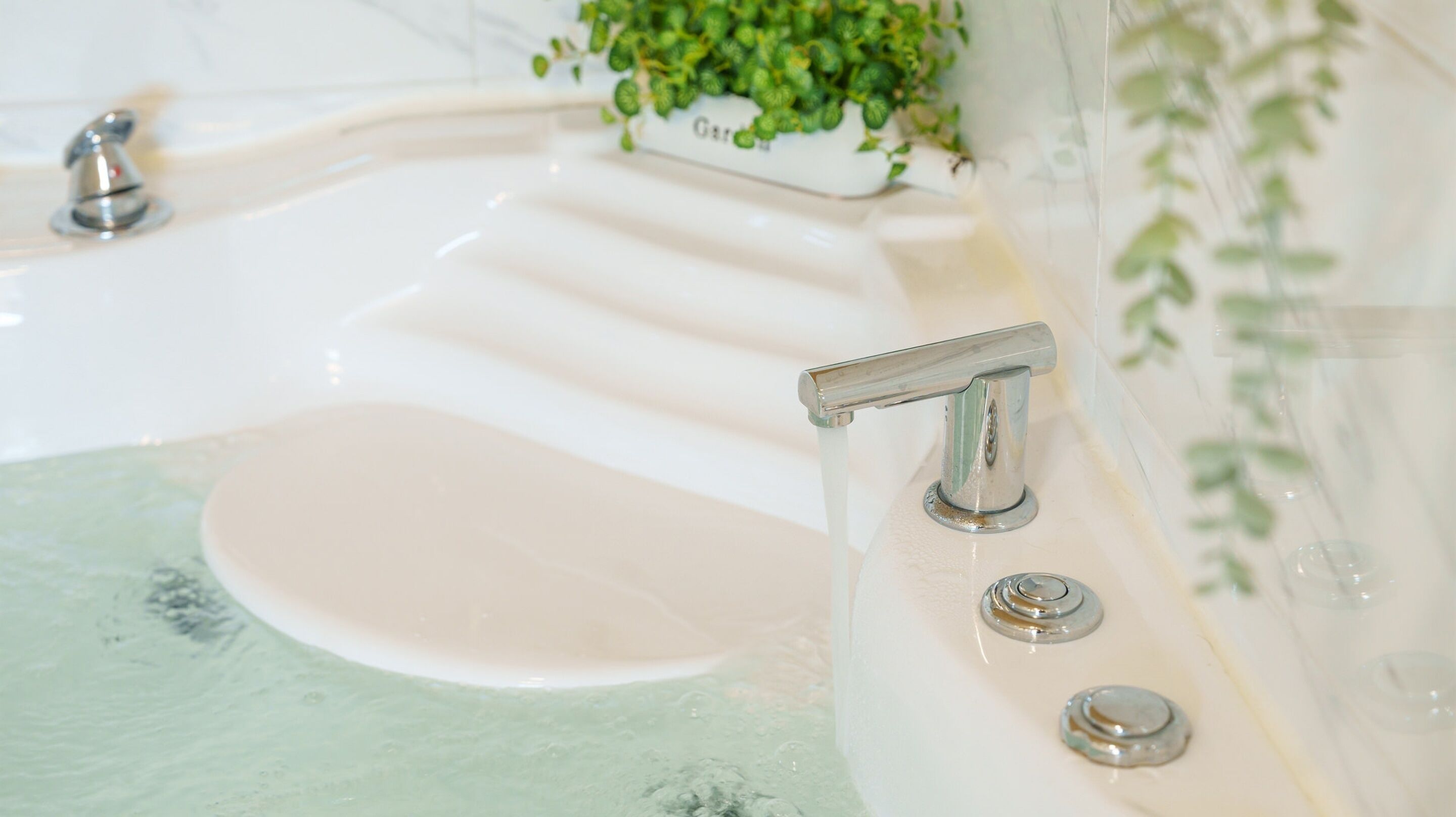 A bathroom with a bathtub, a sink, and a plant.