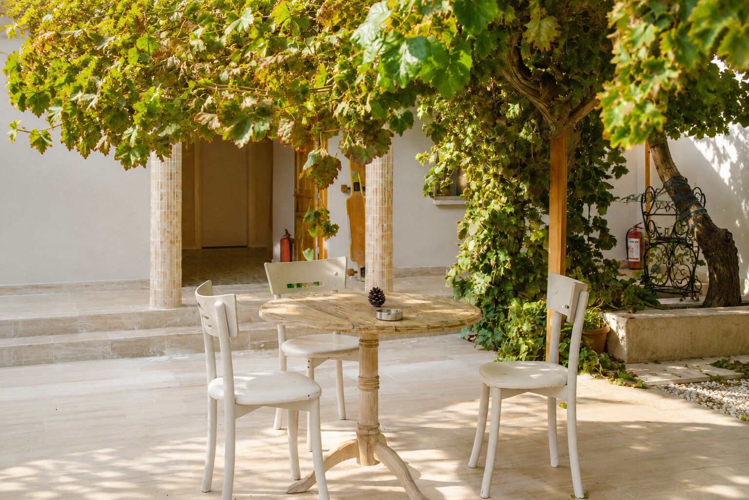 A sunlit outdoor dining area with a round table, white chairs, and a tree providing shade.