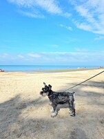 Una playa cerca