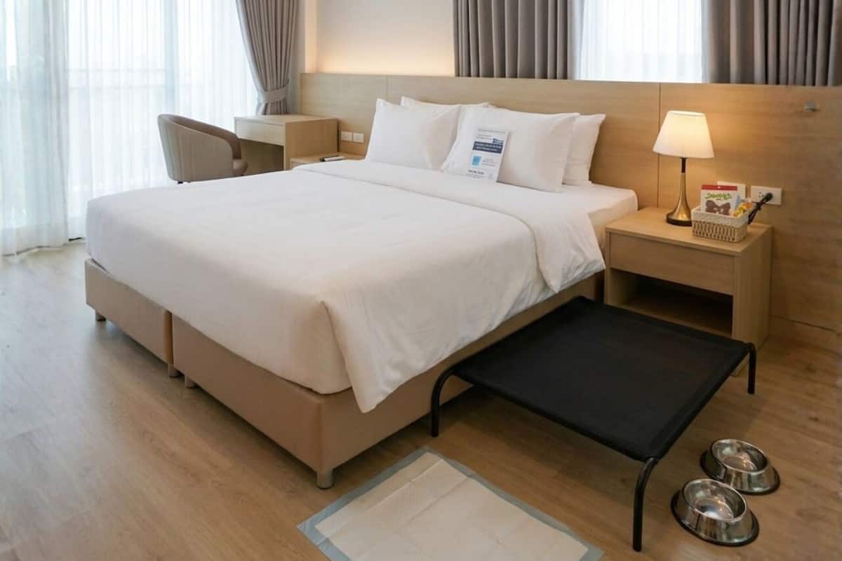 Ein Hotelzimmer mit Bett, Nachttischen, einem Schreibtisch, einer Lampe und einem kleinen Tisch mit zwei Schalen.