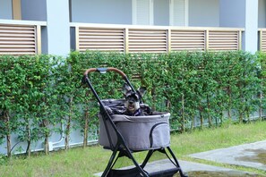 Mesra haiwan kesayangan