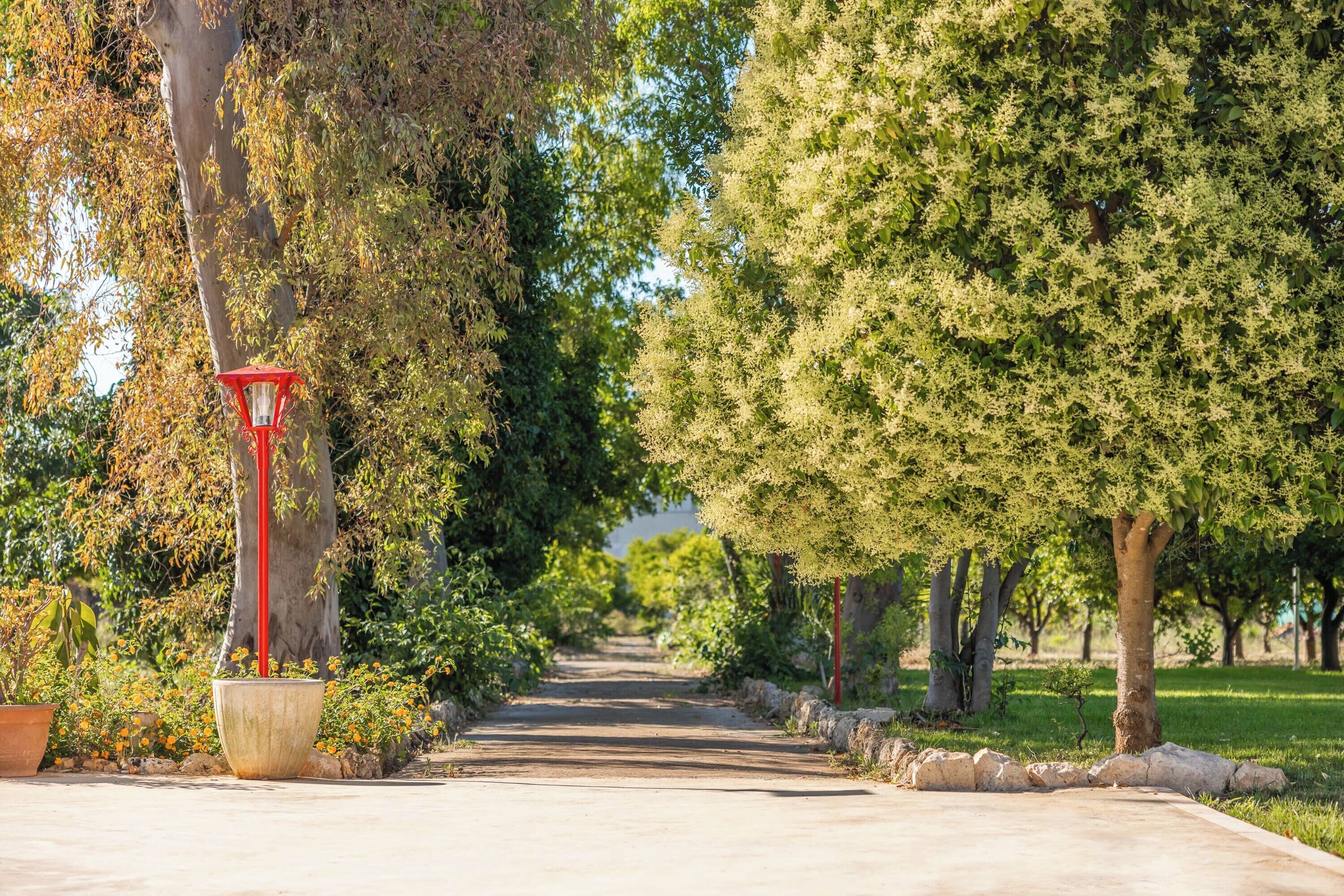 A pathway lined with trees and a red street lamp.