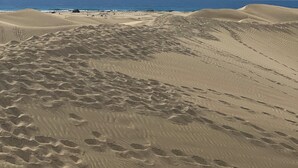 Paisaje desértico con dunas de arena y cielo despejado.