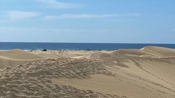 Accommodatie ligt op het strand, ligstoelen