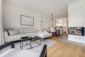 Télévision, cheminée, chaîne hi-fi