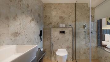 Shower, rainfall showerhead, hair dryer, slippers