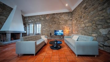 TV, fireplace, books