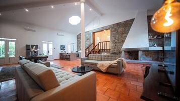 TV, fireplace, books