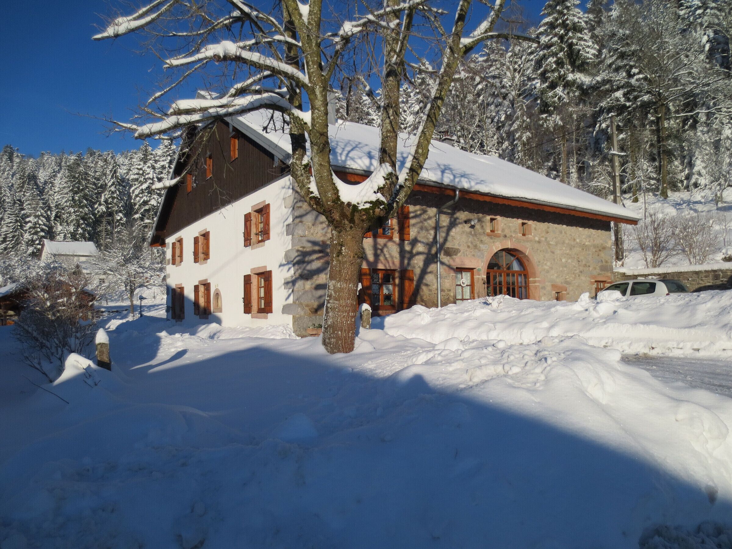 Ein mit Schnee bedecktes Gebäude mit Steinaußenwand und Holzhörnern, umgeben von schneebehangenen Bäumen.