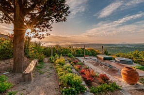 A garden patio with a wooden bench, a hot tub, and a large terracotta pot.