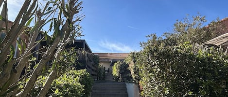 Overnatningsstedets område