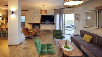 Smart TV, fireplace, books