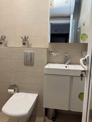 A bathroom with a toilet, sink, and mirror.