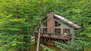 Property grounds - Charming Modern Cabin (Beech Mountain)