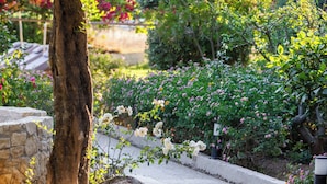 A garden pathway with a tree and various plants. - Dias by Azul Collection (Rethymno)